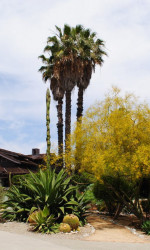 Grove House on Pitzer College campus in Claremont, CA